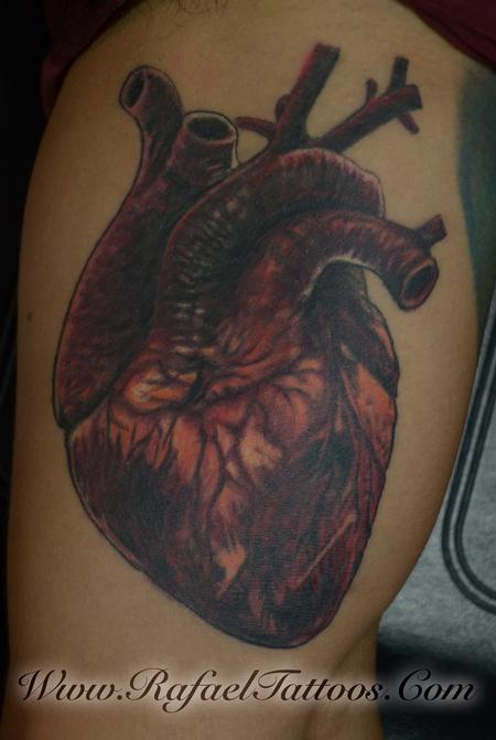 Rafael Marte - Realisteic Anatomical Heart